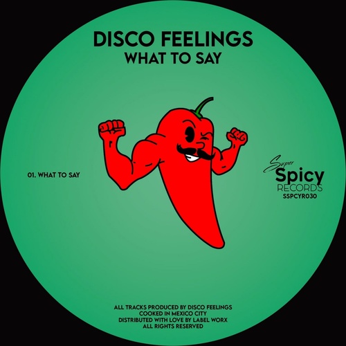 Disco Feelings - What To Say [SSPCYR030]